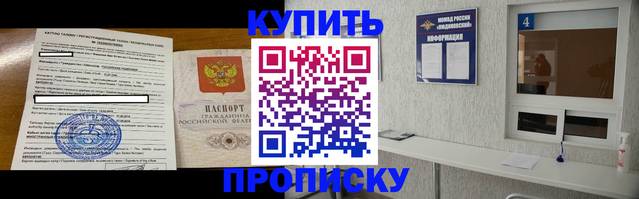 временная регистрация поиск в Луге